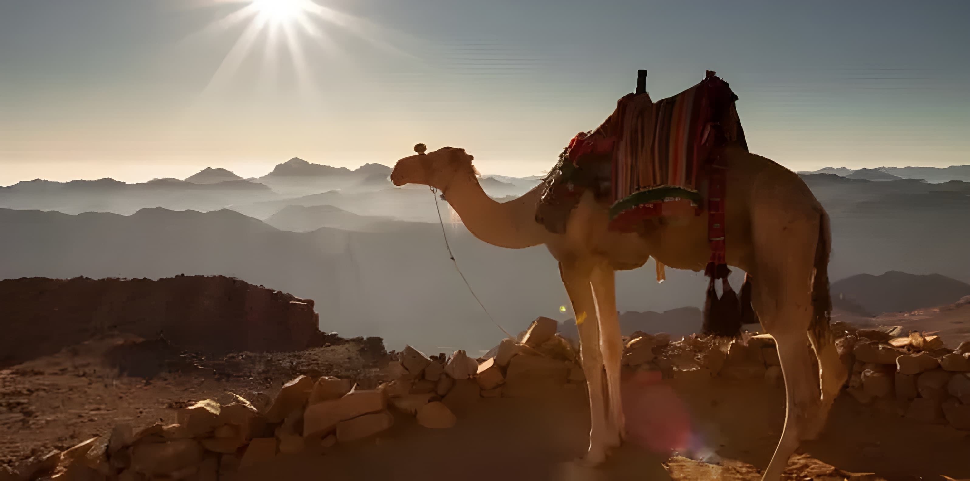 Ultimate Egypt Experience thumbnail 8