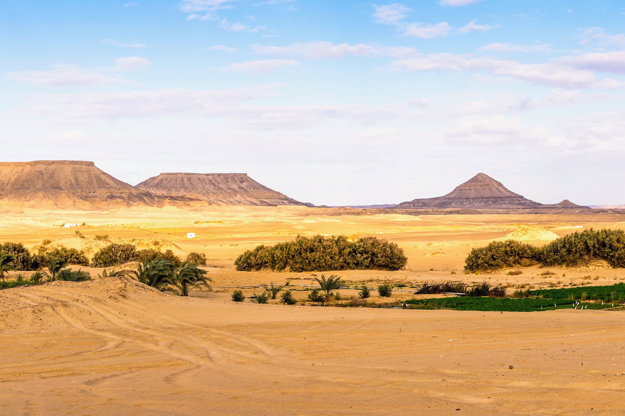 White and Black Desert Safari