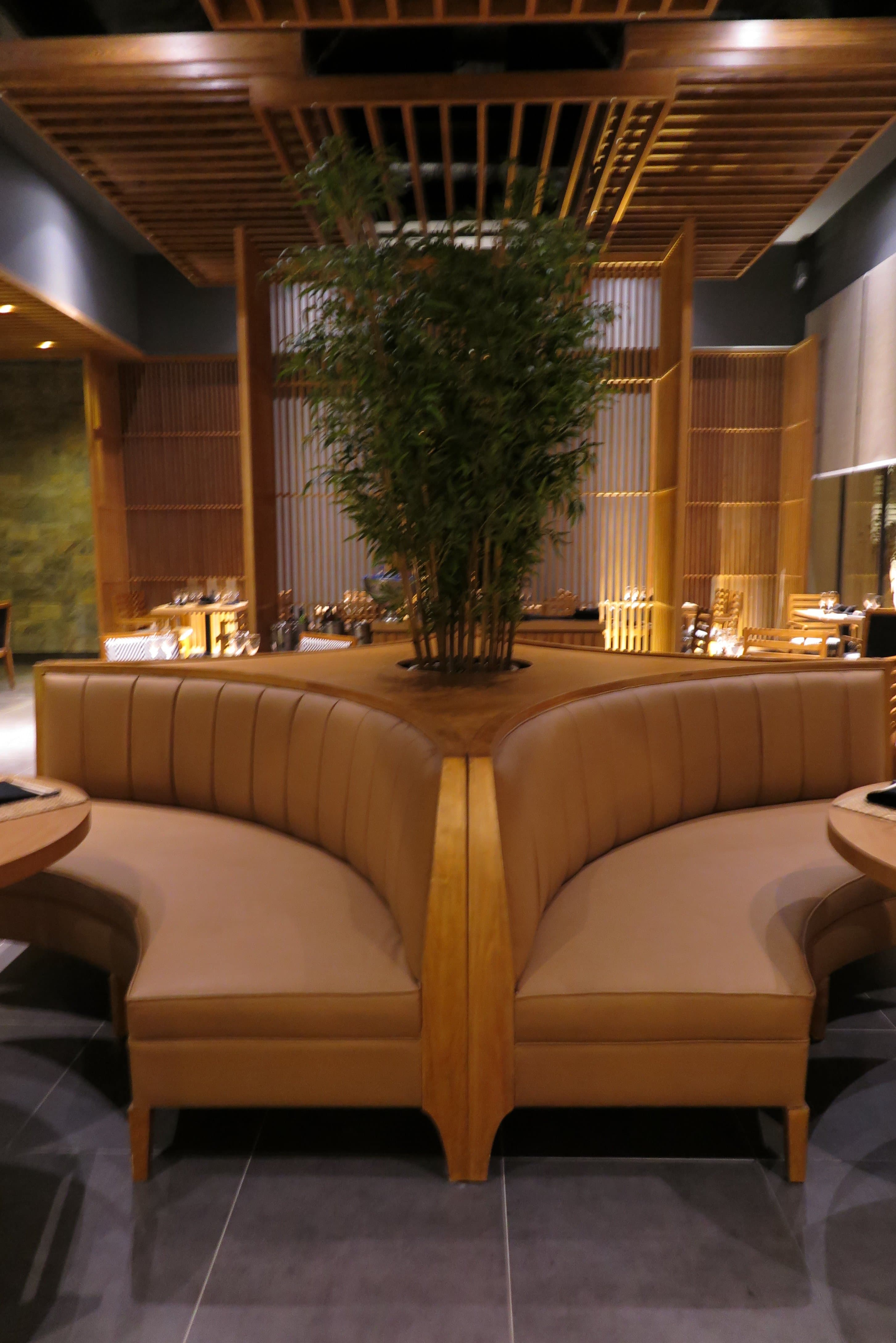 Roka Asian Restaurant 1