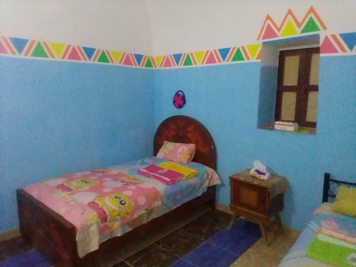 Ali Fahme Guesthouse : Aswan Nubian Experience