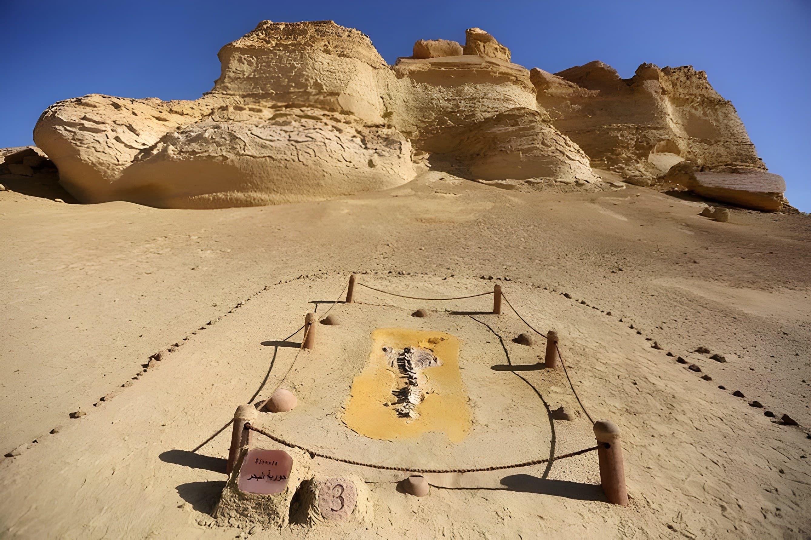 Private Tour to Whales Valley & Wadi El Rayan Waterfalls in El Fayoum from Cairo