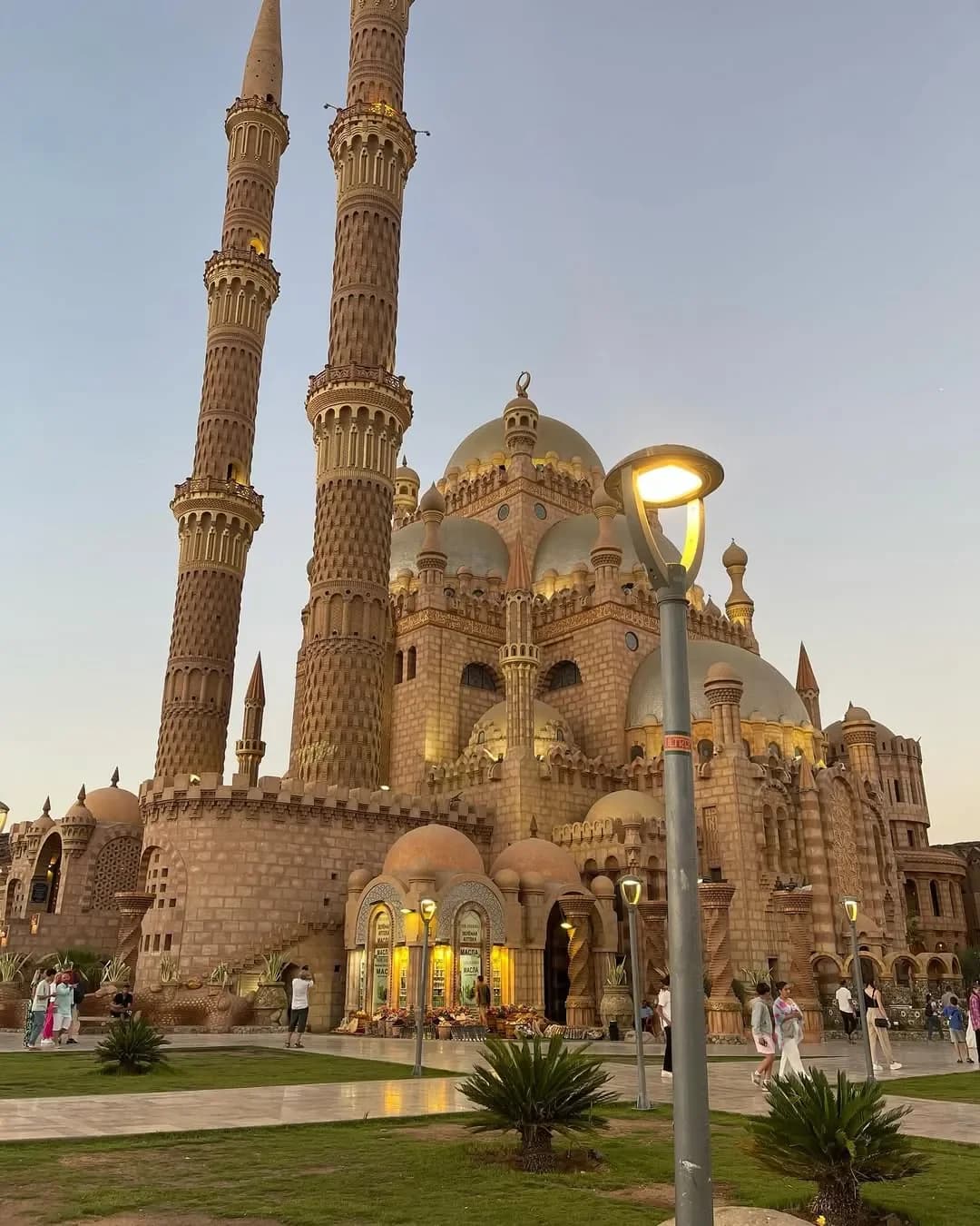 Language & Communication