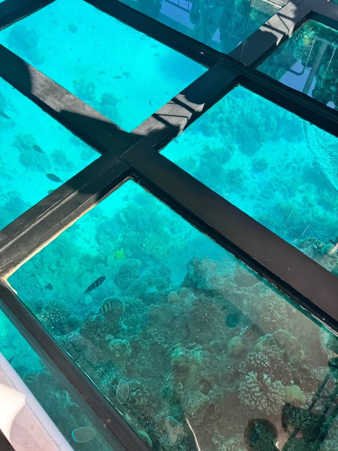 Glass Bottom Boat Excursion in Sharm El Sheikh