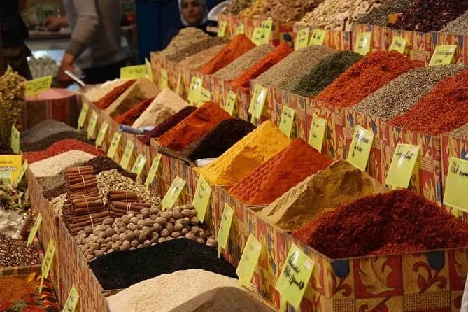 Guided City Highlights Tour with Shopping Stops