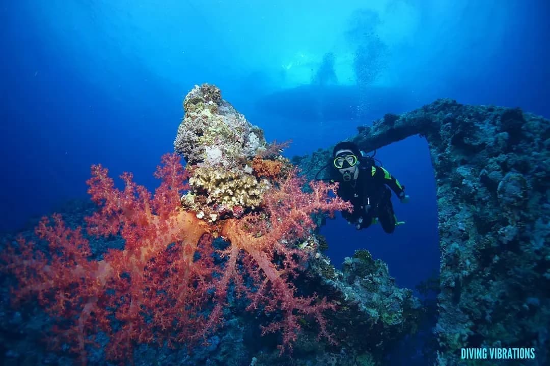 Ras Mohammed & White Island