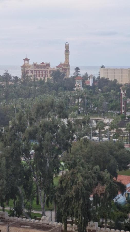 رويال فيو المنتزة Royal view Elmontaza