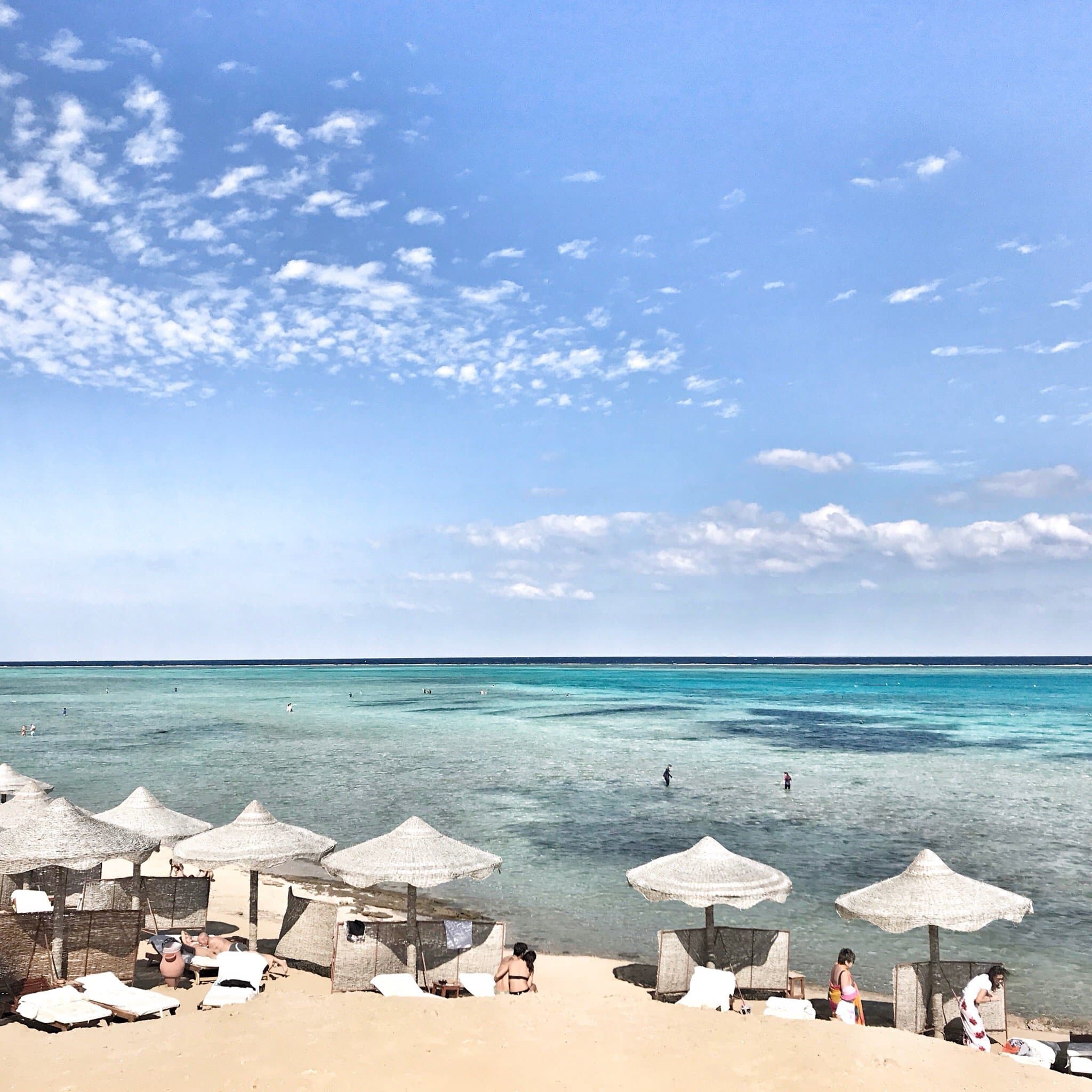 Bicafé - Port Ghalib